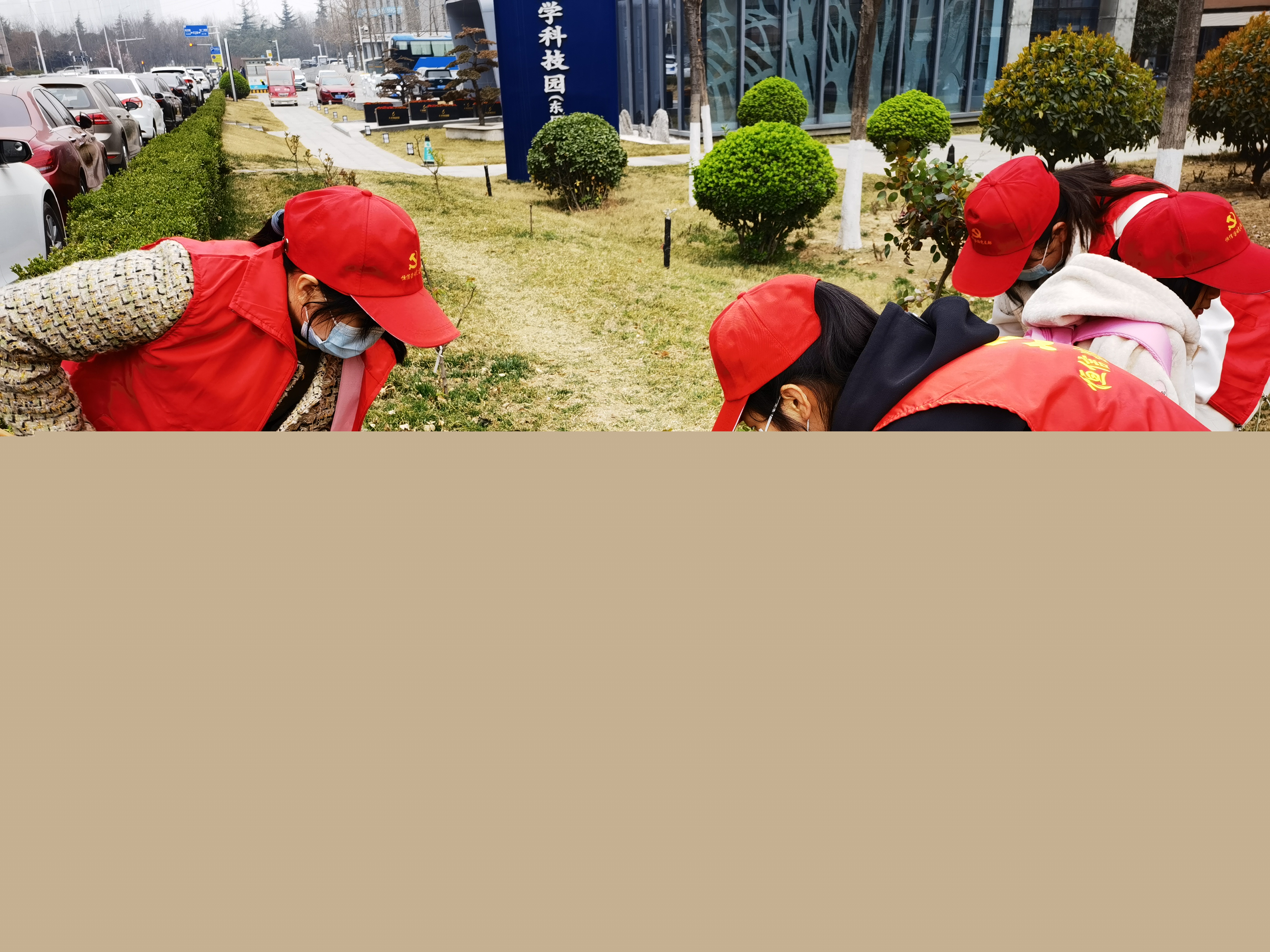 “植”此青綠│恒信咨詢開展“編織一件綠色的外衣”植樹節活動